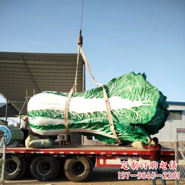 广州白菜之美——给你一份独特的食材