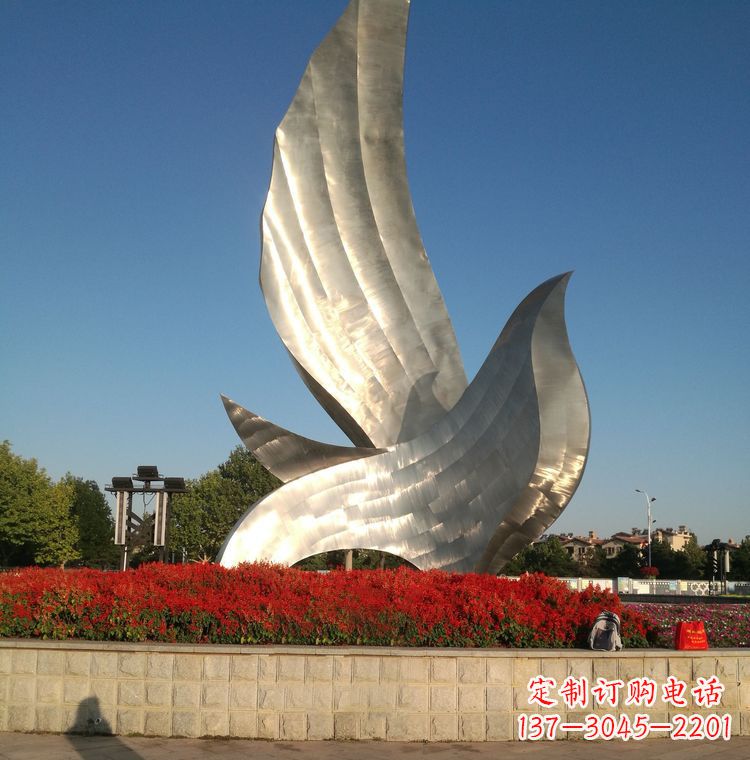 广州“鸽子之恋”——让爱飞翔