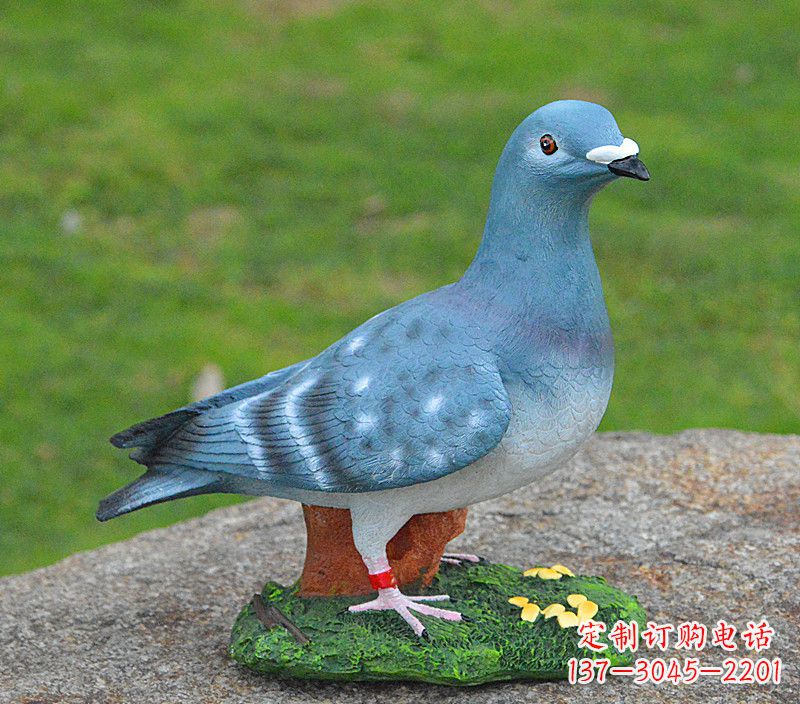 广州和平鸽传承着永恒的爱