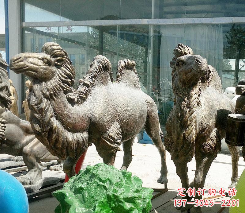 广州公园骆驼动物铜雕 (2)