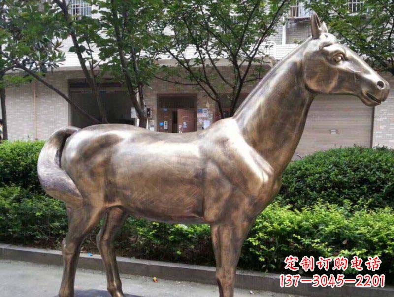 广州公园马动物铜雕 (3)