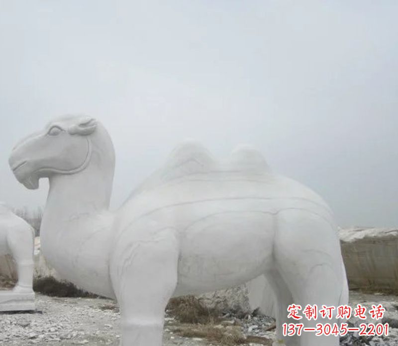 广州汉白玉骆驼石雕塑,装点家居空间