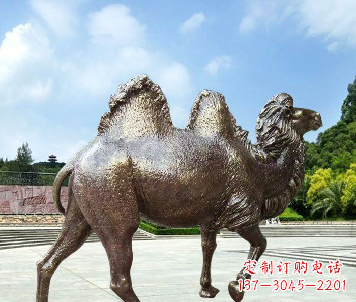 广州欣赏骆驼美感,购买骆驼铜雕