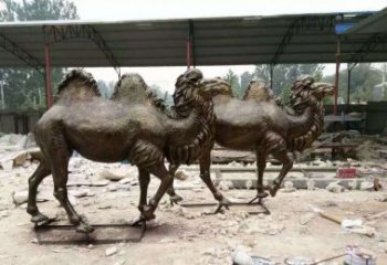 广州欣赏大自然的艺术之作——骆驼铜雕