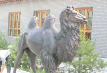 广州精美的骆驼铜雕，提升您的公园气质