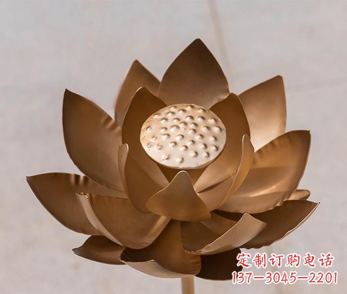 广州铜雕景观荷花